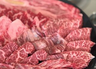 추석맞이 한우 최대 50% 할인 행사 진행