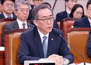 채상병특검, '이종섭 호주 도피 의혹' 조태열·이노공 내주 소환…피의자 신분