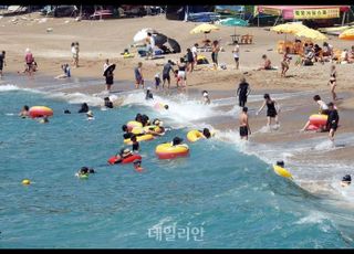 올해 해수욕장 이용객 4412만명…코로나19 이후 최다