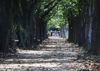 '최저 13도' 완연한 가을날씨…큰 일교차 [오늘날씨]