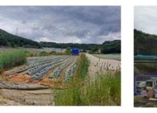 찜하면 내 땅? '무단 점유' 도로공사 부지 13만평…5년새 3배↑