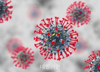 코로나 백신 맞고 뇌출혈 사망…法 "정부 보상 책임"