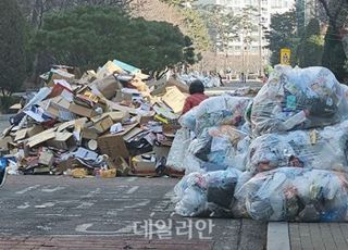 환경부, 추석 생활폐기물 관리대책 추진…기동청소반 등 운영
