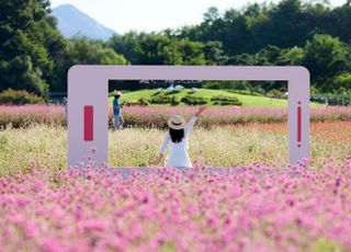 양주시, 나리농원서 ‘제7회 천만송이 천일홍 축제’ 개막
