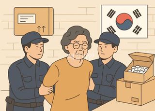 유럽발 밀수 마약 유통 도운 60대女…'징역 10년' 확정