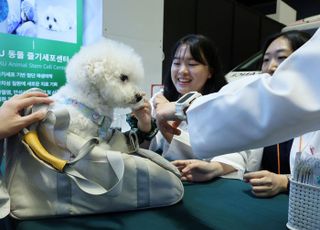 반려동물 잃어버리면? 추석 연휴 분실·응급 지원 서비스 제공