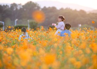 양주시, 제7회 천만송이 천일홍 축제 성황리 마무리