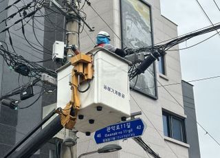 서울 관악구, 가을 태풍 대비 공중선 점검·정비 완료
