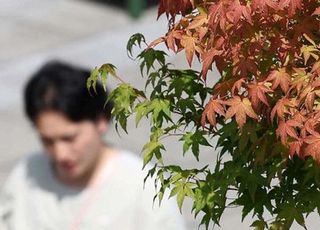 '일교차 10도 이상' 짙은 안개...건강에 좋은 가을 한방차 [오늘 날씨]