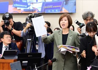 김미애 "李정부 연금개혁, 기금 안정화·지속 가능성 없다"