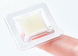 대웅제약, 붙이는 비만약 임상 1상 진입…주 1회 부착
