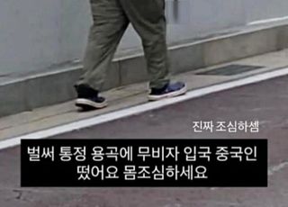 "배 갈라 장기매매…이제 한국은 큰일 났다" 中무비자 입국에 '괴담' 확산