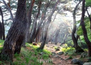 모처럼 모인 가족, 연휴에 함께하기 좋은 여행지