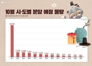 10월 일반분양 물량 중 절반이 경기도...서울은 1% 불과