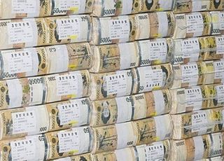 4년6개월 간 폐기된 화폐 13조5000억원…쌓으면 롯데타워 1224배