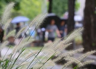 추석 연휴 둘째 날, 남해안·제주 '최대 40㎜' 비…환절기 비염에 좋은 음식 [오늘 날씨]