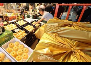 추석 차례상 비용 20만원…전년 대비 소폭 줄어