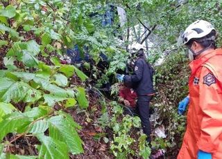 [속보] '성묘 갔다가' 양양서 1톤 트럭 후진 중 30ｍ 아래 추락