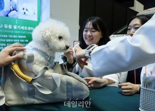반려동물 잃어버리면? 추석 연휴 분실·응급 지원 서비스 제공