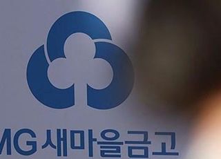 새마을금고, 10곳 중 3곳 ‘깜깜이’ 합병