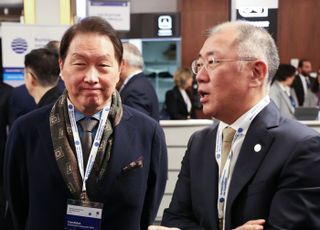 국감에 최태원·정의선 등 기업인 줄소환…재계 "정치적 쇼 우려"