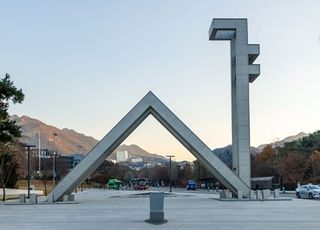 "女지도교수가 나를" 거짓말한 서울대 대학원생, 결국...
