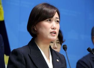 민주당 "국민의힘, '中 의료·선거·부동산 방지법' 혐중 정서 자극용"
