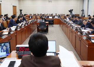 고정욱 롯데지주 사장 "저PBR은 계열사 실적 부진 영향" [2025 국감]