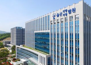 "캄보디아에서 큰 돈 벌게 해줄게"…청년 유인한 일당, 항소심도 실형
