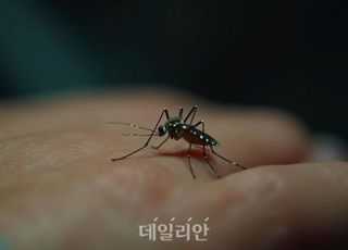 올해 첫 일본뇌염 환자 발생…“야간 외출·모기물림 주의”