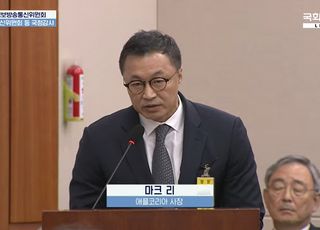 앱마켓 갑질 놓고 공방…게임사 "30% 수수료" vs 애플 "대부분 면제"[2025 국감]