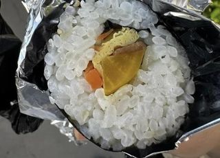 "4000원짜리 제주도 김밥 좀 보세요"