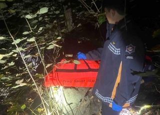 [속보] 버섯 채취하러 나섰다가…홍천서 숨진 채 발견된 60대