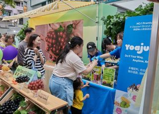 aT, 홍콩서 ‘K-포도 신품종’ 알렸다… 현지 소비자 호응