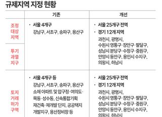 서울 전역·경기 12곳 규제지역·토허구역으로…전매제한·실거주 의무 등 적용 [10.15 부동산 대책/Q&amp;A]