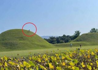 "한국 사람 맞아?" 신라 고분 밟고 올라간 아이, 그 모습 찍는 부모