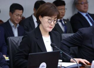 '김현지 없는 국감' 현실화 수순 밟나…운영위마저 연기