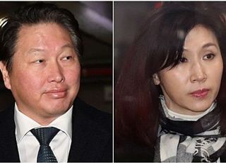 최태원·노소영 '세기의 이혼' 다시 뒤집혔다…"노태우 300억, 재산 기여 아냐"