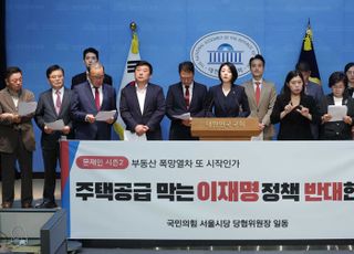 "10·15 대책은 주거 절망 정책"…배현진 "시민과 막아내겠다"