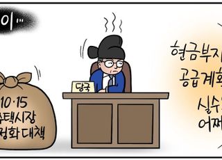 계속 집 없이 살라고?… 고강도 부동산 규제에 시장 '대혼란' [D-시사만평]
