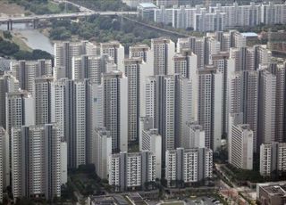 [주간부동산시황] 서울 아파트값 0.42%↑…"대책 영향, 집값 진정 국면"