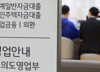 “대출 막히기 전에 열어두자”…마이너스통장 개설 폭발