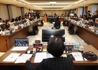 여야, 법사위 국감서 '내란정당 해산·재판소원' 두고 충돌