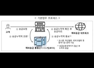 ‘외환유출·쪼개기 송금’ 막는다…정부, 해외송금 통합관리시스템 구축