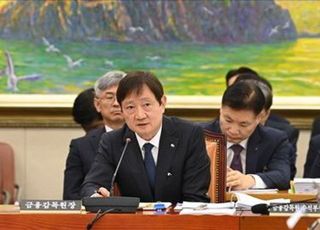 당정 '배임죄 폐지' 한다는데…지난해 금융 피해액만 1221억 [2025 국감]