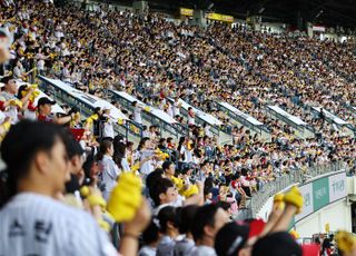 "4만원 커플석 40만원에 팔아요"…프로야구 암표상 덜미 잡혔다