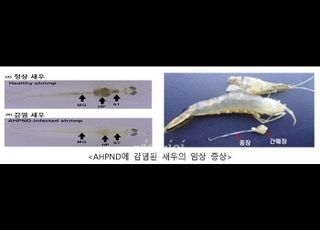 해수부, 수산생물 전염병 대응역량 높인다