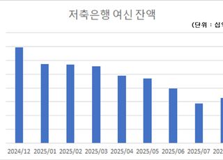 "대출 틀어막자 차로 돈 빌린다"…저축은행 '차담대' 급증 [늘고늘고…금융불안②]