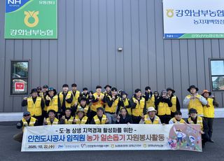 iH 임직원, 농가 일손돕기 자원봉사활동…강화 고구마 수확
