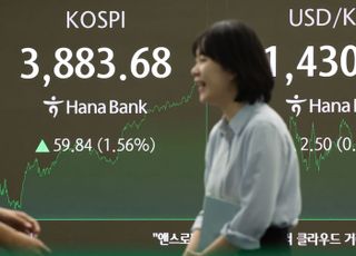 "부동산 막자 빚투 광풍 온다"…신용거래융자 24조 돌파 [늘고늘고…금융불안④]
